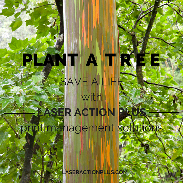plant_a_tree_save_a_life